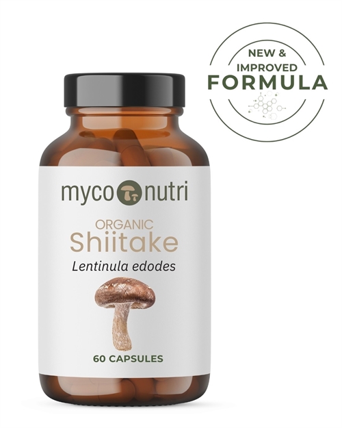 Økologisk Shiitake ekstrakt